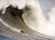 开云世界杯2026-羽球无疆，当高卢雄鸡折戟东方，郑思维的太极如何化解南洋风暴