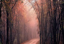 开云体育登录-绝境重生，利拉德导演广厦惊天逆转，关键先生名不虚传